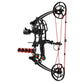 Red Dragon Dual Compound Bow Steels Balls And Arrows